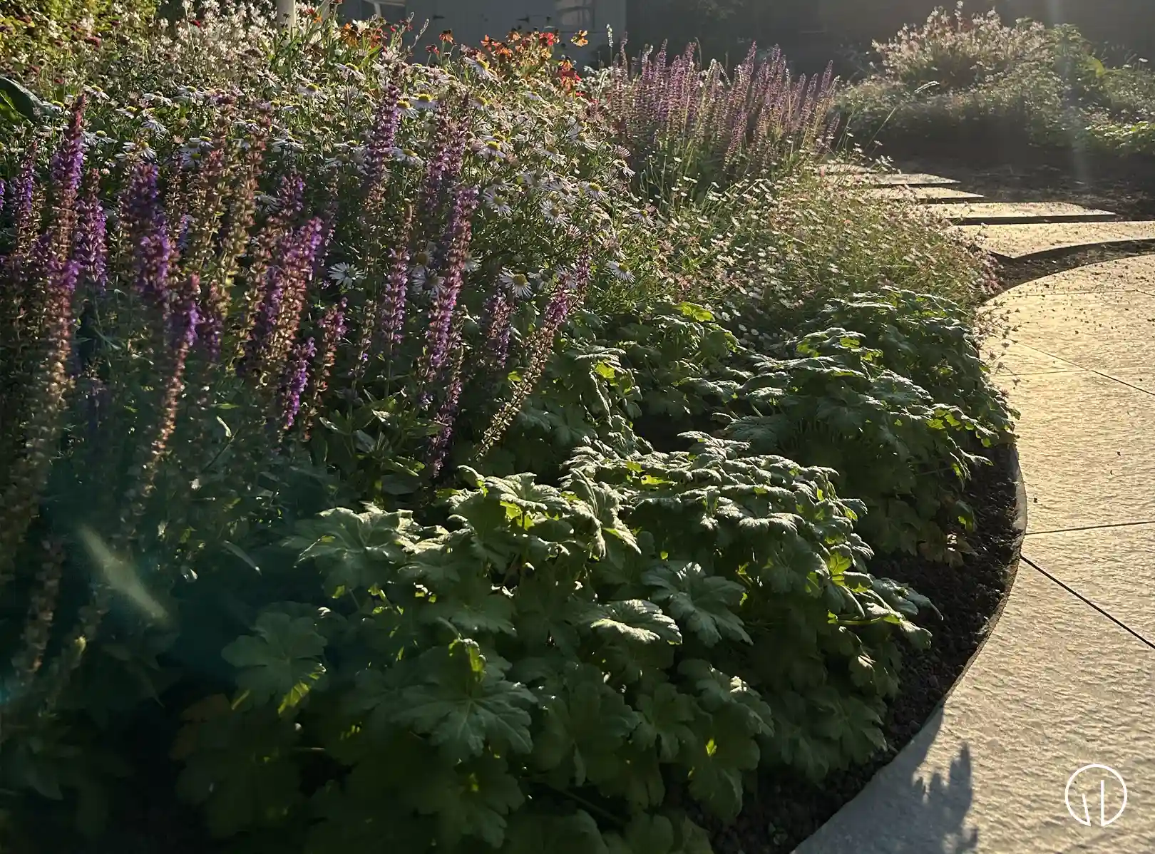 tuin te ooigem